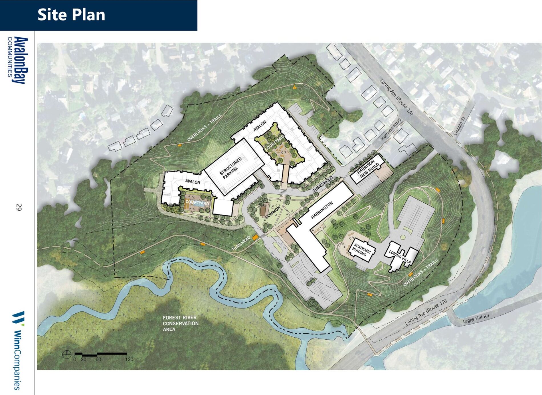 AvalonBay and WinnCompanies official Site Plan from their winning RFP submission. Two areas labeled 'OVERLOOKS + TRAILS' show switchback footpaths climbing steep, densely-contoured hillsides on the western and southern sides of the site, beside the Avalon buildings and Loring Villa, above the Forest River Conservation Area.