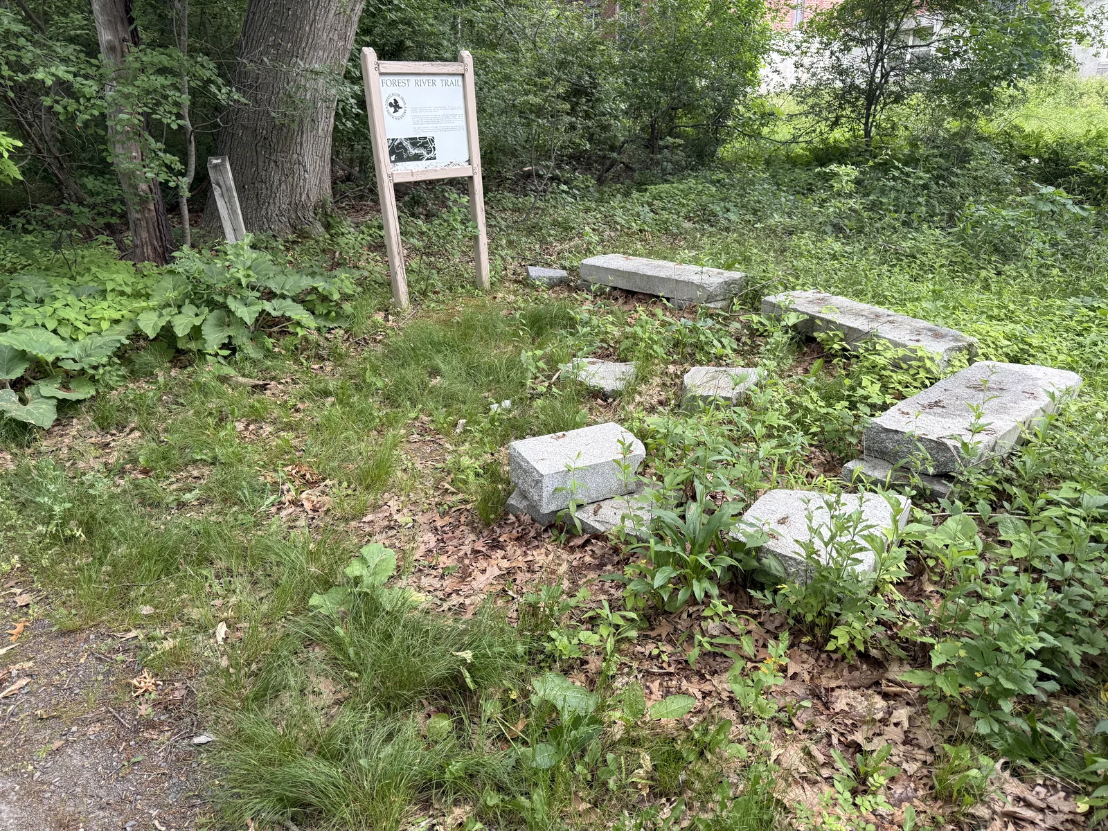 The outdoor classroom area near the trailhead: scattered granite block benches in tall grass beside a small 'Forest River Trail' sign.